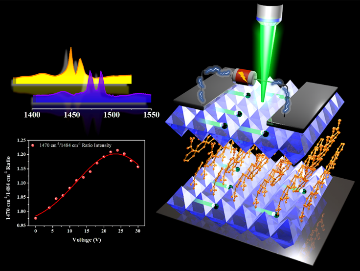 Monitoring the two-dimensional perovskite carrier transport characteristics by Raman spectroscopy