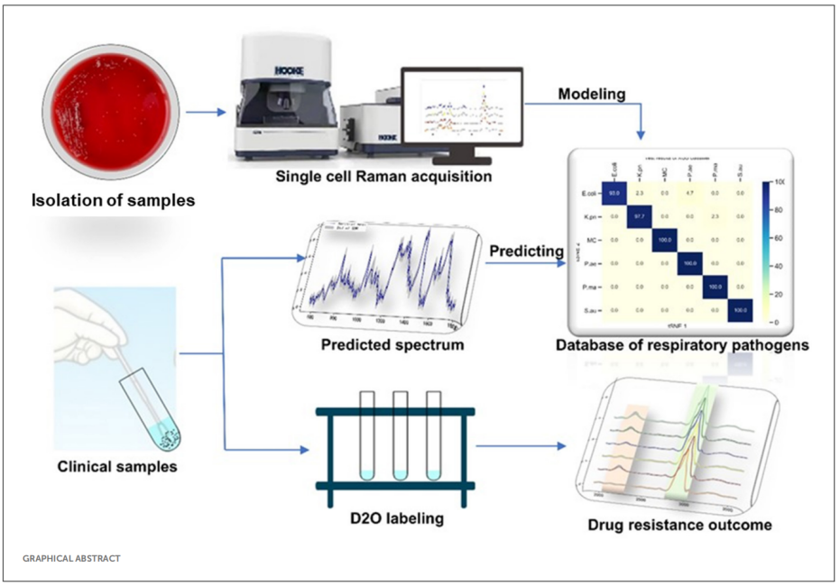Researchers Proposed Rapid Identification and Drug Resistance Screening of Respiratory Pathogens