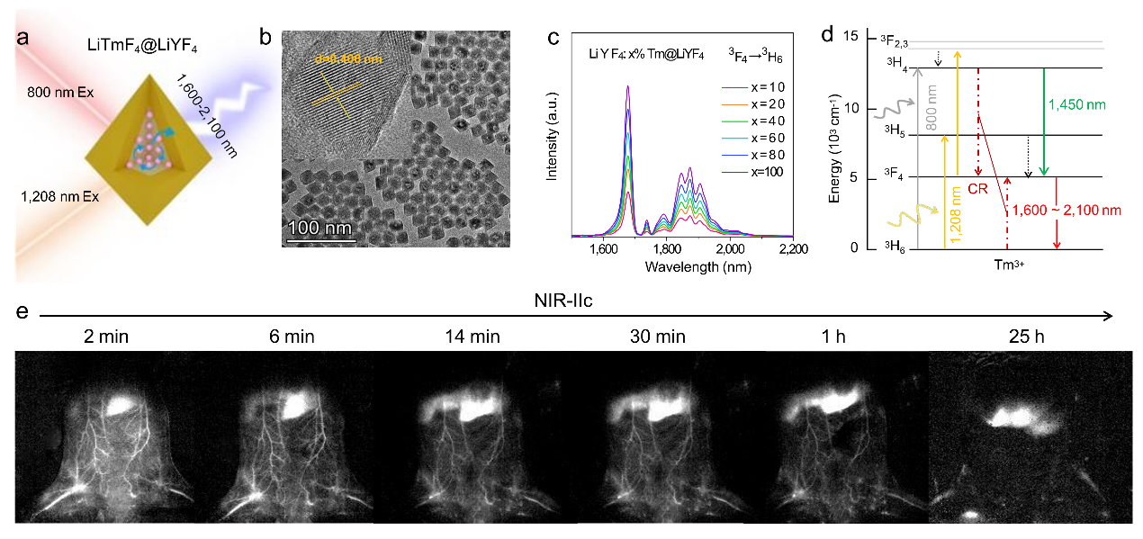 Researchers Proposed Bright Tm3+-based luminescence Nanoprobes for NIR-IIb/c biological imaging