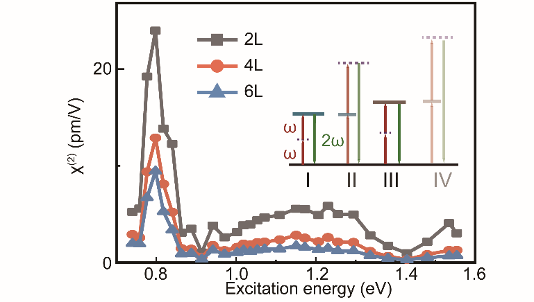 Researchers Observed Novel and Tunable Second Harmonic Generation in Exfoliated Few-layer ReS2